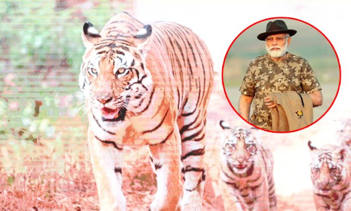 PM Modi released the statistics of tigers