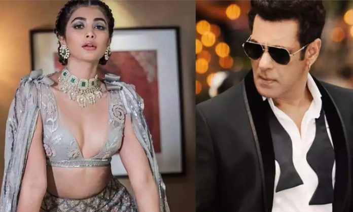 Pooja hegde comments salman khan