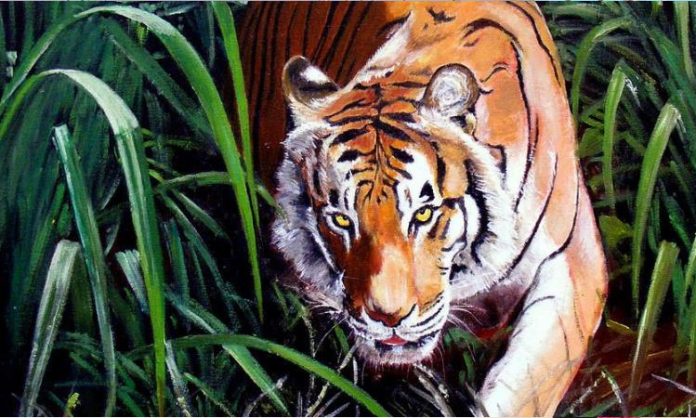 Tiger attack on cow in Vizianagaram