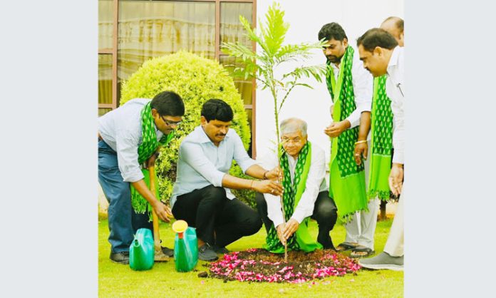 Green India Challenge: Prakash Ambedkar planted the sapling