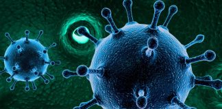 Corona virus