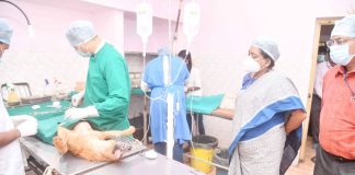 Mayor's surprise inspection at Chudibazar Animal Sanctuary