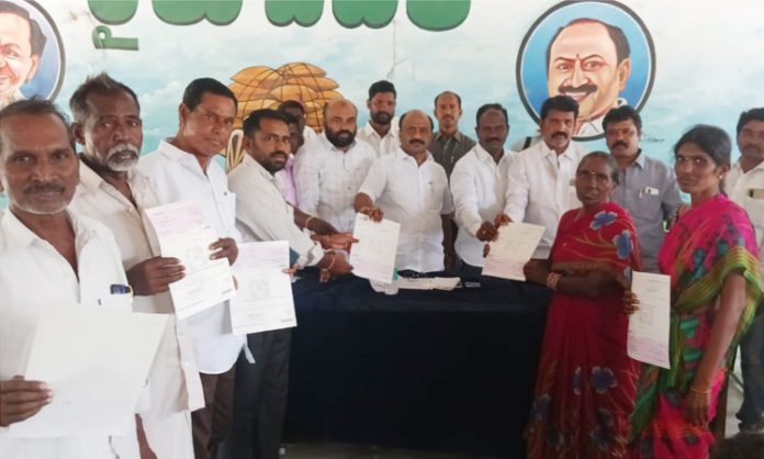 MLA Challa presented crop damage compensation checks to farmers