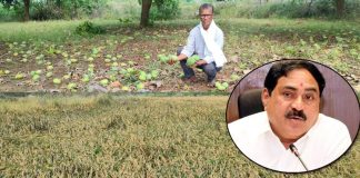 Hail rains have caused heavy losses to farmers