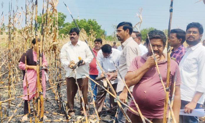Compensation should be given for the burnt crop