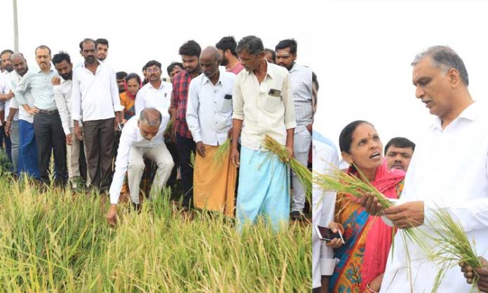 Telangana farmer loss with hailstorm