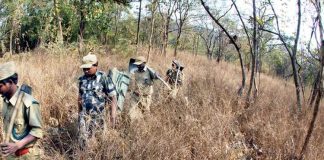 Man set ablaze to Lover in Nallamala Forest