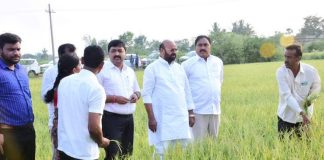 Minister Errabelli field level observation on hailstorm