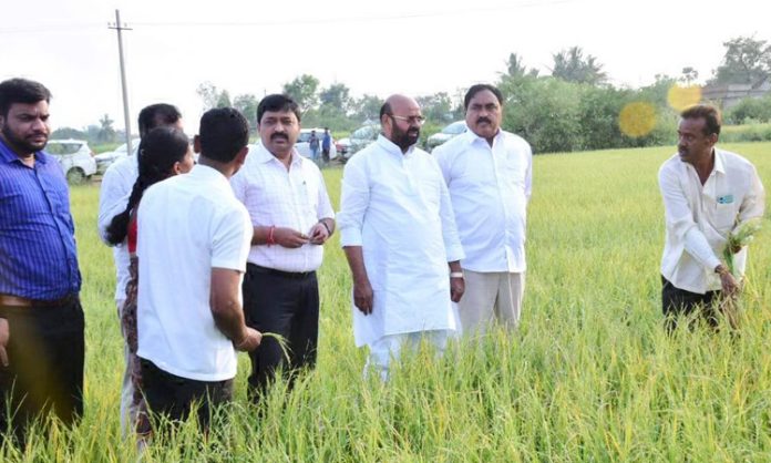 Minister Errabelli field level observation on hailstorm