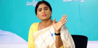 Contesting from Paleru Constituency: Sharmila