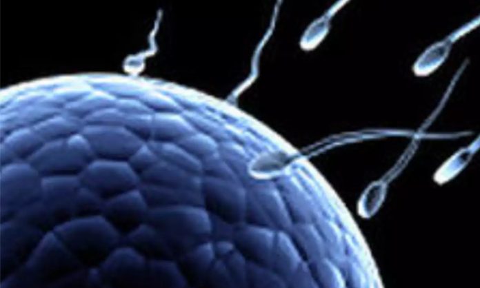 New gene for male infertility