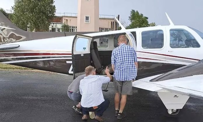 Snake under the pilot's seat