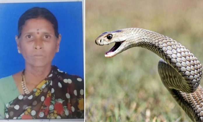 woman is bitten by poisonous snake