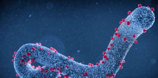 Another deadly virus in Africa