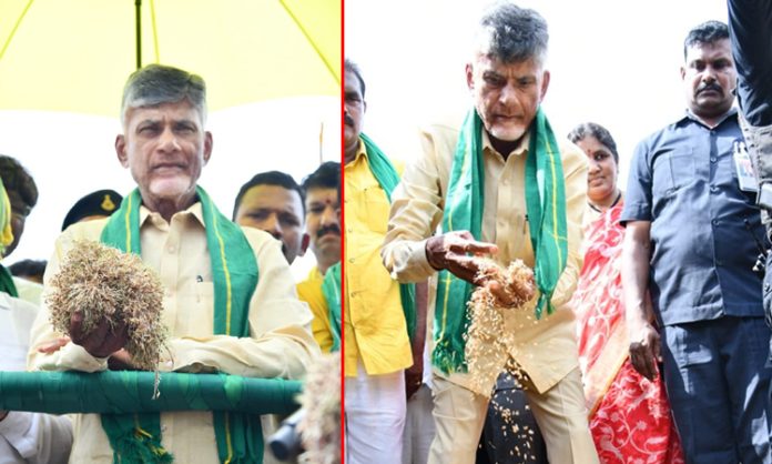 CM Jagan cheated farmers Says Chandrababu Naidu