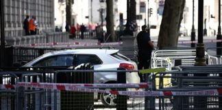 Car crashes into front gates of Downing Street in London