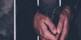 Interstate gang arrested