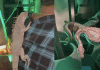 Exotic animals displayed in night club