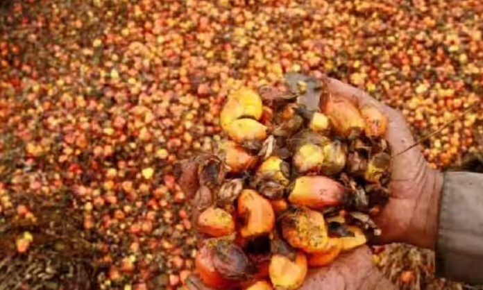 Godrej Agrovet SBI loan for oil palm farmers