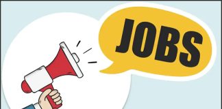 Hcltech techbee trainee interviews in sangareddy