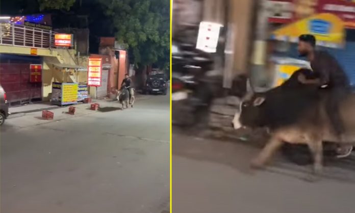 Man riding bull in Rishikesh goes viral