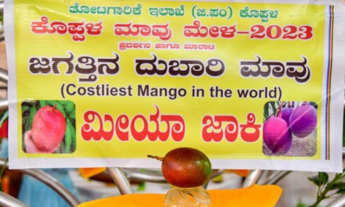 Japanese mango price rs 2.5 lakh per Kg