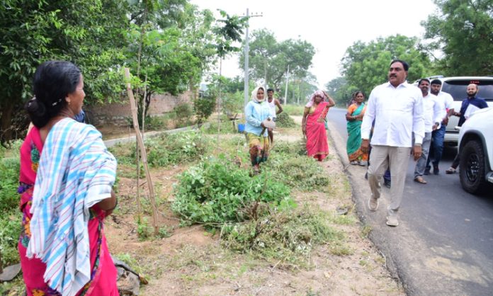 Minister Errabelli Dayakar Rao inspected employment works