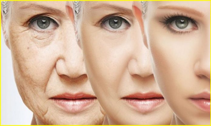 Hyperbaric oxygen therapy for healthy aging