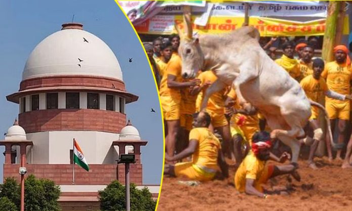 Supreme Court verdict on legality of Jallikattu