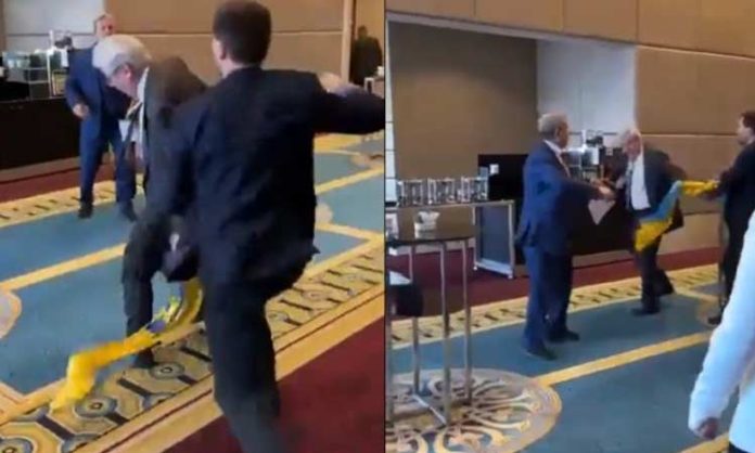 Ukrainian MP punches Russian delegate