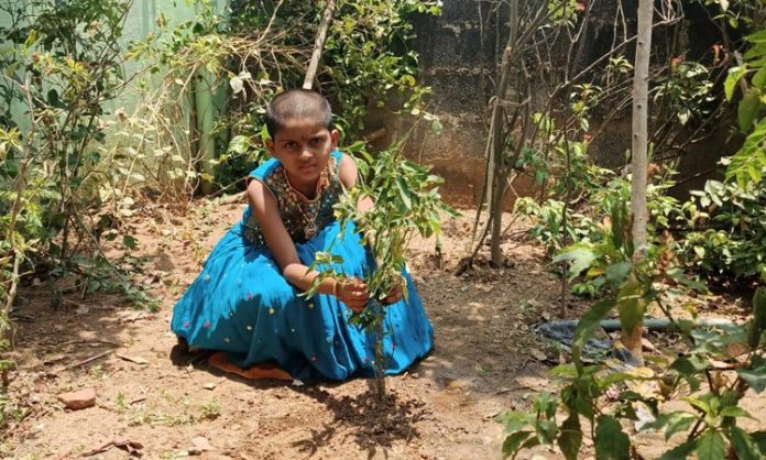 child planted sapling in the Green India Challenge