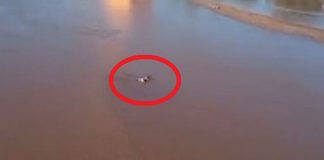 Girl found in Lake