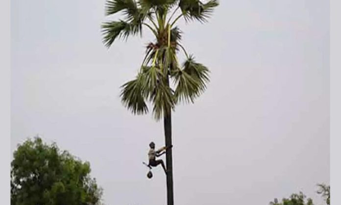 Geetha Karmika Bhima for Palm Workers