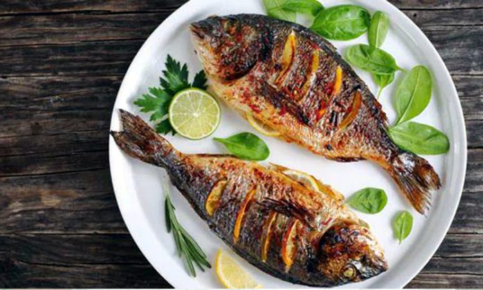 TS Govt plan to Fish Food Festival