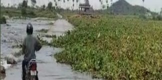 Flood in Musi river