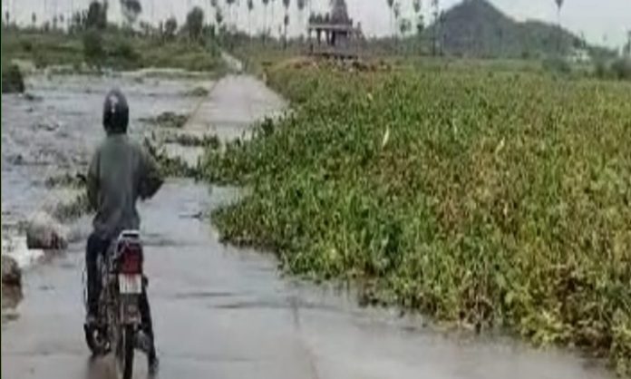 Flood in Musi river