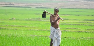 farmers