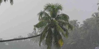 Monsoon enters Telangana after June 15