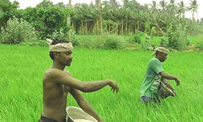Pondicherry Minister Jai Kumar praised Telangana agro schemes