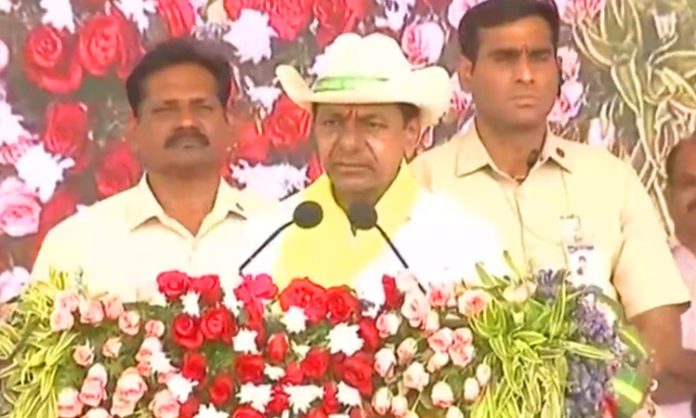 CM KCR speech in haritha haram