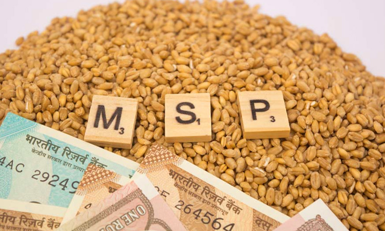 Cabinet hikes minimum support price for Kharif crops
