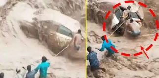 Car with woman occupant washes away in Panchkula