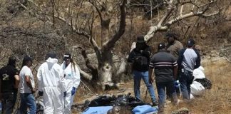 Mexican police find 45 bags of human remains