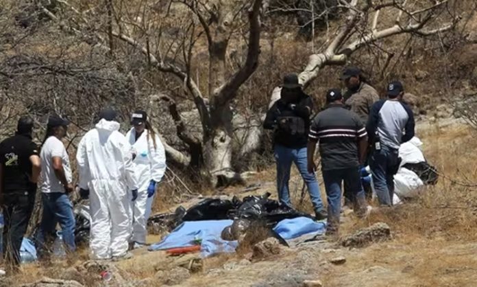 Mexican police find 45 bags of human remains