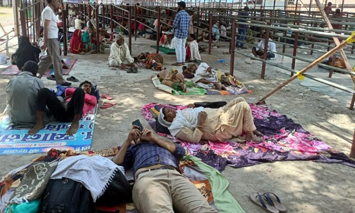 Fish Prasadam distribution at Nampally Exhibition ground