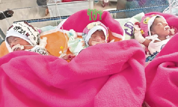 Three Baby girls born at a time tandur