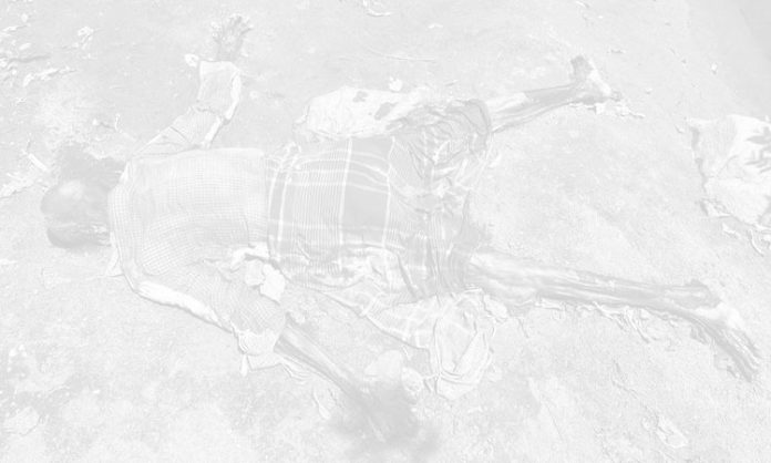 Tanduru in komaram bheem asifabad