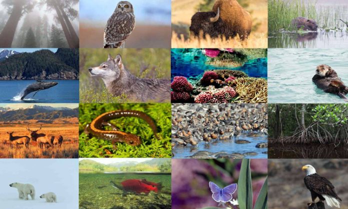 Biodiversity in Telangana