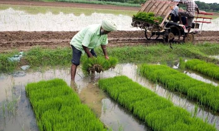 Centre Hikes Kharif Crops MSP