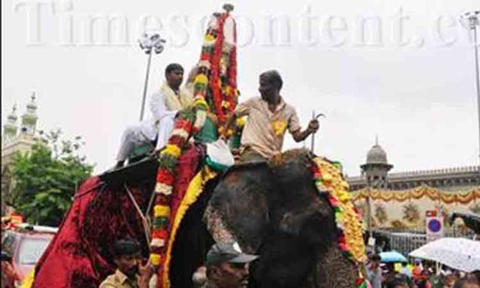 Grand Ammavar procession on Ambari
